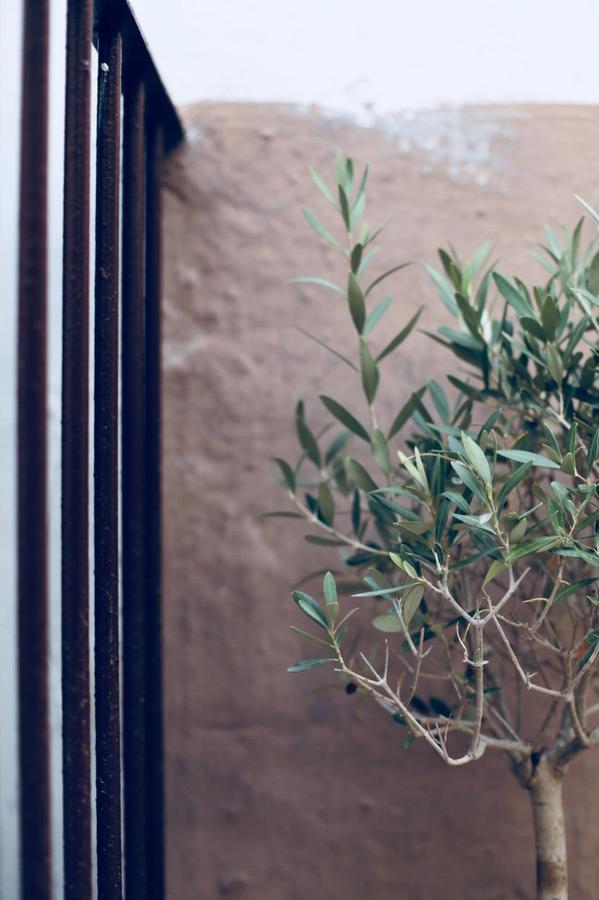 La Mitria Bed & Breakfast Trani Exterior foto