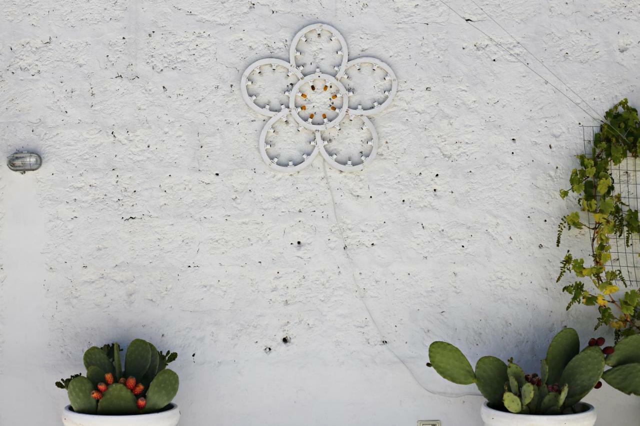 La Mitria Bed & Breakfast Trani Exterior foto
